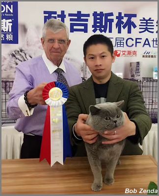 Kitties Land Han Wu King